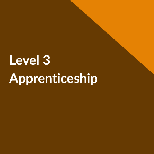 Find out more about L3